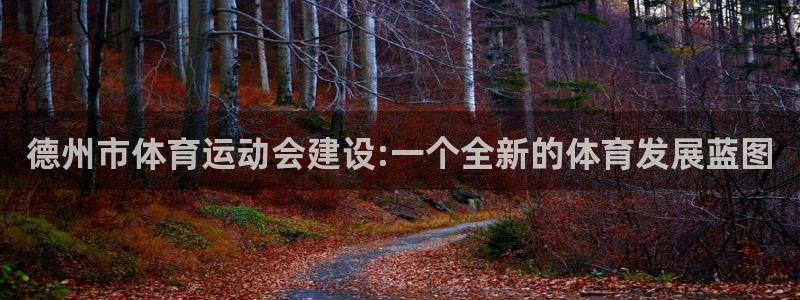 捷豹体育比分下载：德州市体育运动会建设:一个全新的体育发展蓝图