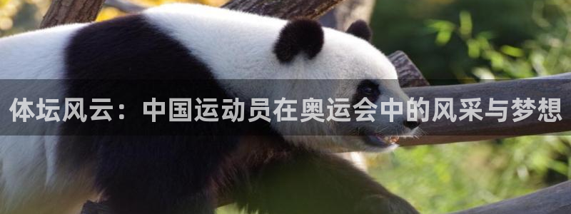 捷豹体育app是正规网站吗：体坛风云：中国运动员在奥运会中的风采与梦想