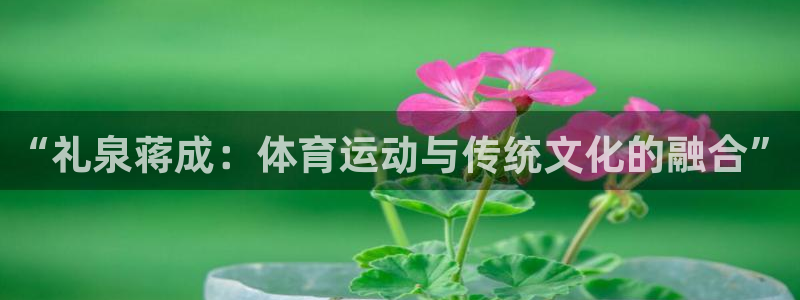 捷豹体育竞彩：“礼泉蒋成：体育运动与传统文化的融合”