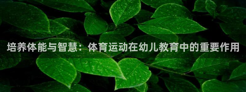 捷豹体育官网：培养体能与智慧：体育运动在幼儿教育中的重要作用
