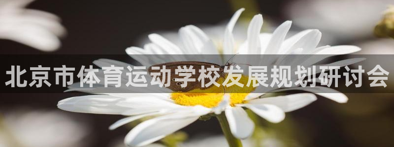 捷豹体育合法网站吗：北京市体育运动学校发展规划研讨会