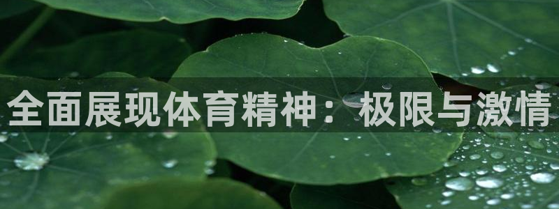 捷豹体育三项让球：全面展现体育精神：极限与激情